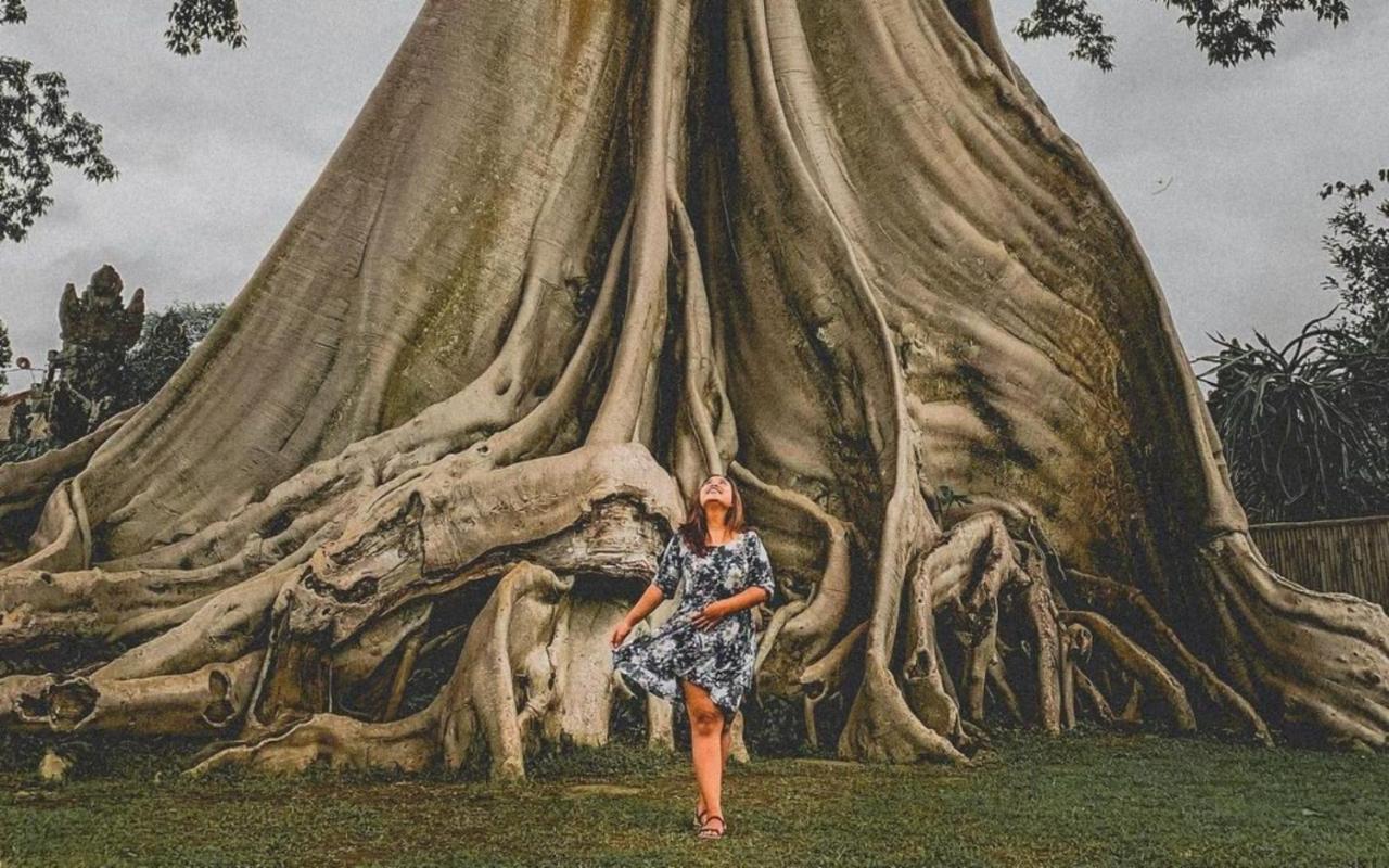 Alam Desa Homestay By Agata Perean Buitenkant foto